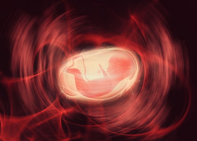 Ein animiertes Bild von einem Fötus im Mutterleib.